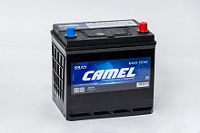Аккумулятор CAMEL ASIA 68.0 Ач, обратная полярность, пусковой ток 640 А, 80D23L, размер 229*175*223 — купить в магазине akkumulyator163 с бесплатной доставкой и установкой по Самаре.